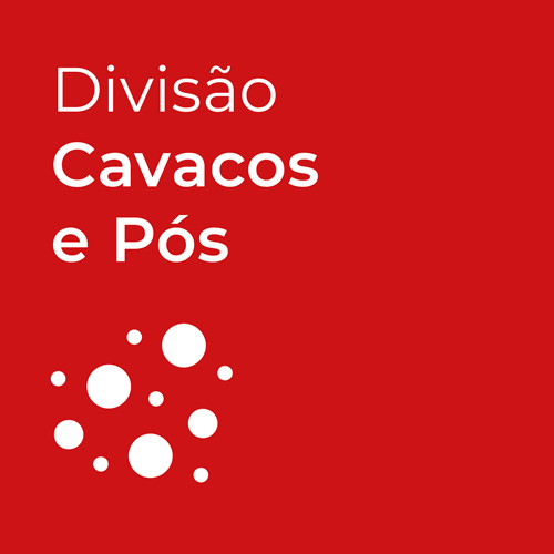 Aspiradores de cavacos e pós